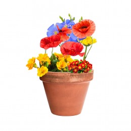 Cápsula de Semillas Personalizada. Un Regalo Floral y Sostenible para Tu Evento Especial